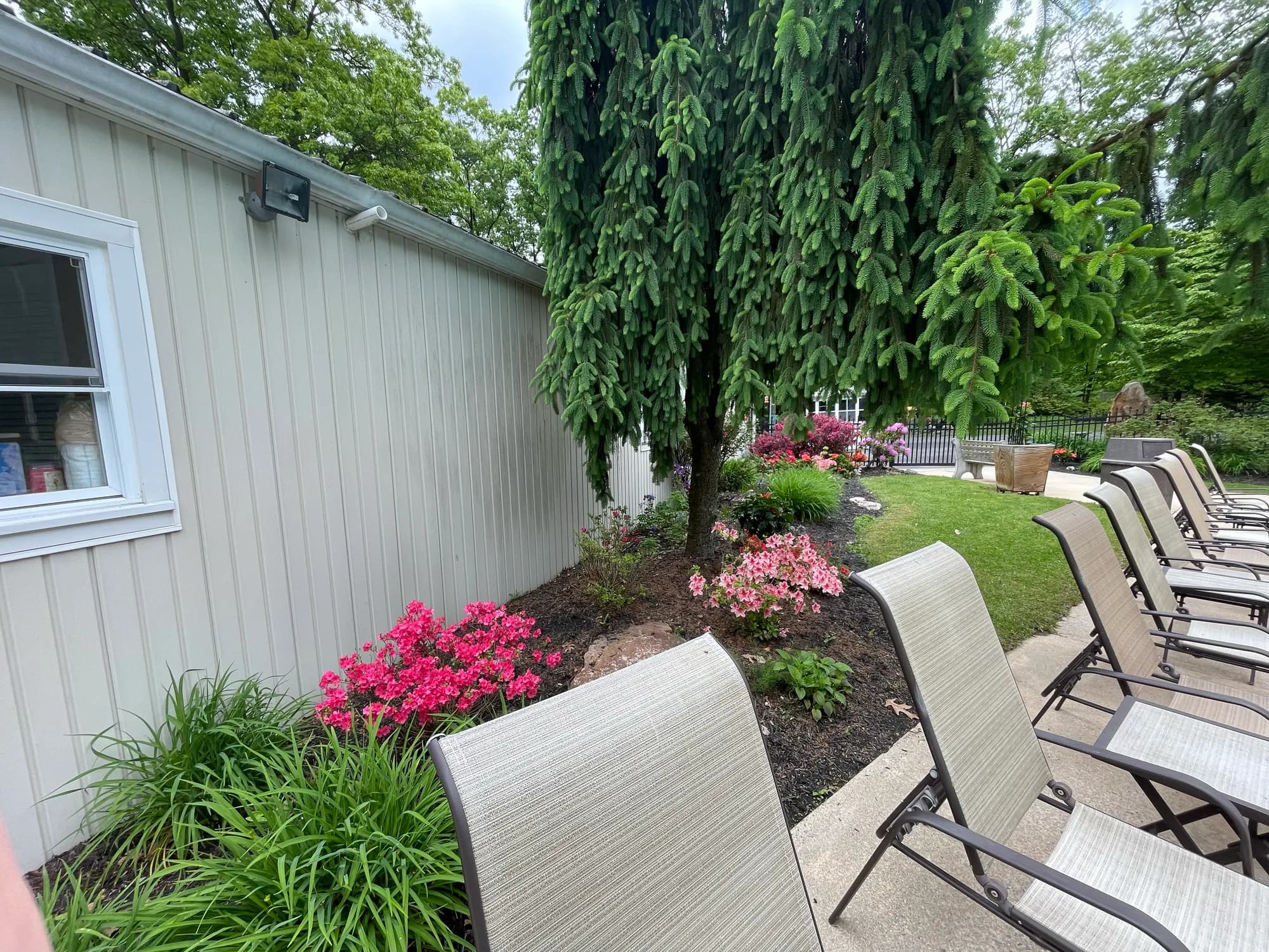 Poolside patio with lounge chairs and flower gardens