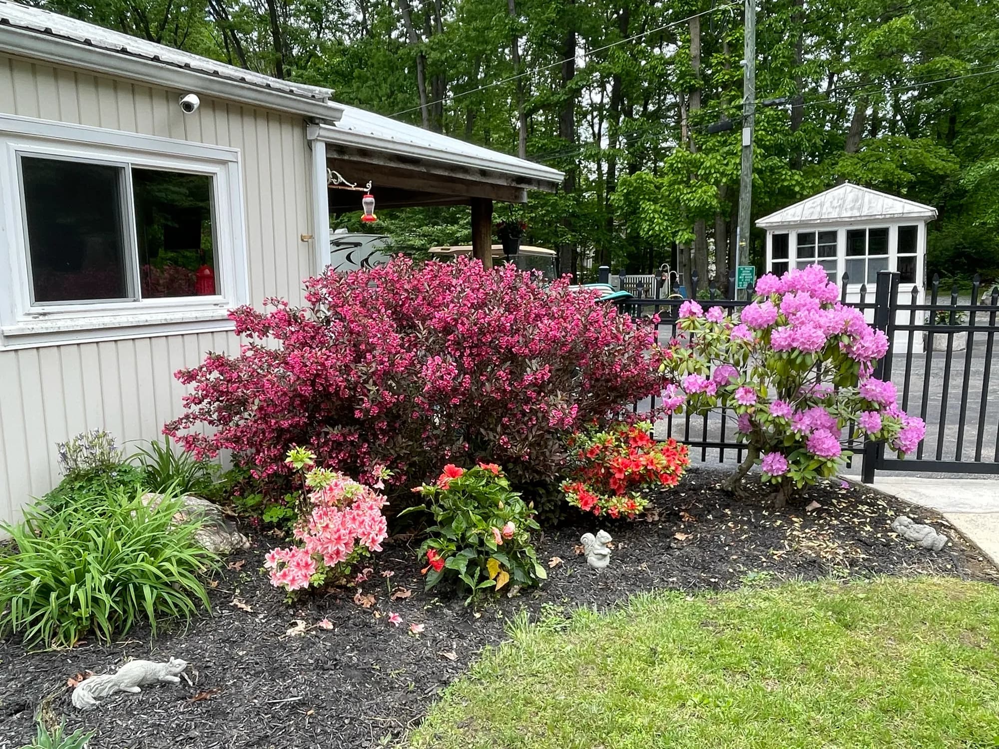 Flowering shrubs and gardens by the pool clubhouse